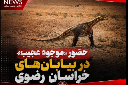 شایعه حضور «موجود عجیب» در بیابان‌های خراسان رضوی تکذیب شد
