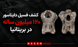 کشف فسیل دایناسور ۱۲۰ میلیون ساله در بریتانیا