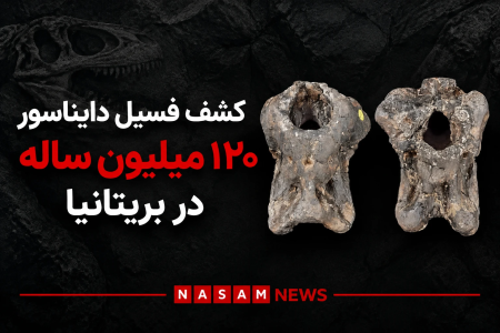 کشف فسیل دایناسور ۱۲۰ میلیون ساله در بریتانیا